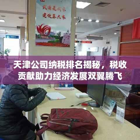 天津公司纳税排名揭秘,税收贡献助力经济发展双翼腾飞