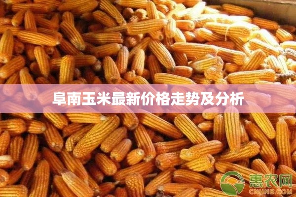 阜南玉米最新价格走势及分析