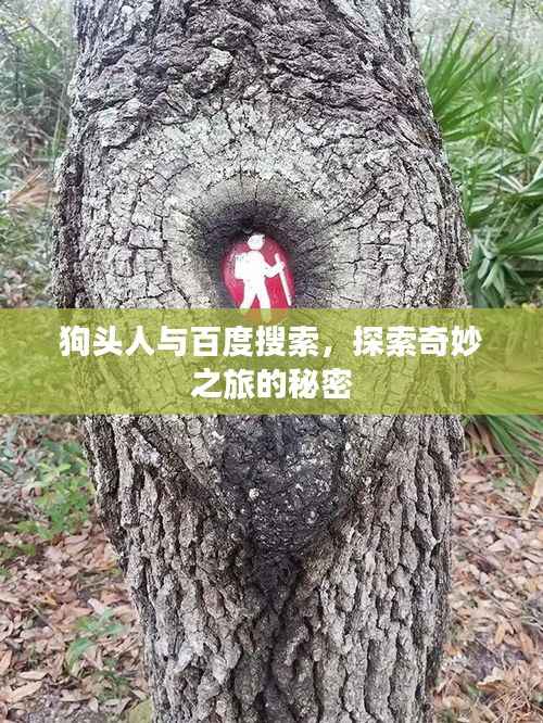 狗头人与百度搜索,探索奇妙之旅的秘密