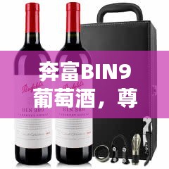 奔富BIN9葡萄酒，尊贵价值，价格揭秘