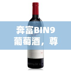 奔富BIN9葡萄酒,尊贵价值,价格揭秘
