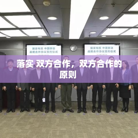 落实 双方合作，双方合作的原则 