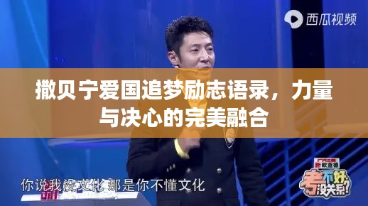 撒贝宁爱国追梦励志语录,力量与决心的完美融合