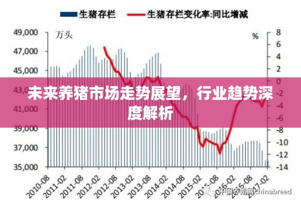 未来养猪市场走势展望,行业趋势深度解析