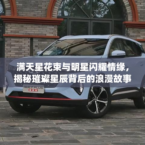 满天星花束与明星闪耀情缘,揭秘璀璨星辰背后的浪漫故事
