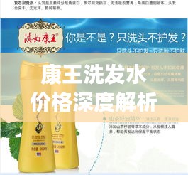康王洗发水价格深度解析