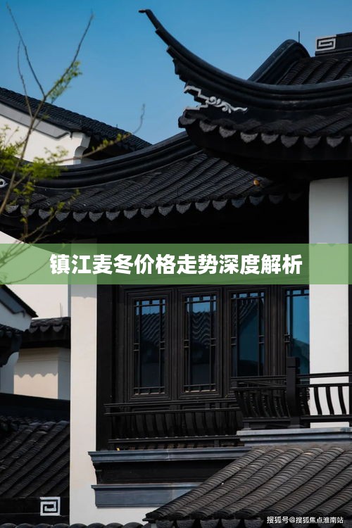 镇江麦冬价格走势深度解析