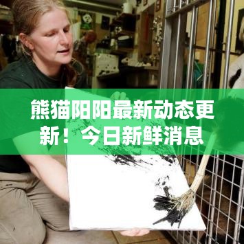 熊猫阳阳最新动态更新!今日新鲜消息揭秘!