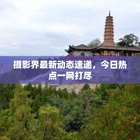 摄影界最新动态速递,今日热点一网打尽