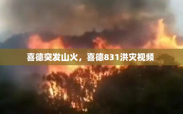 喜德突发山火，喜德831洪灾视频 