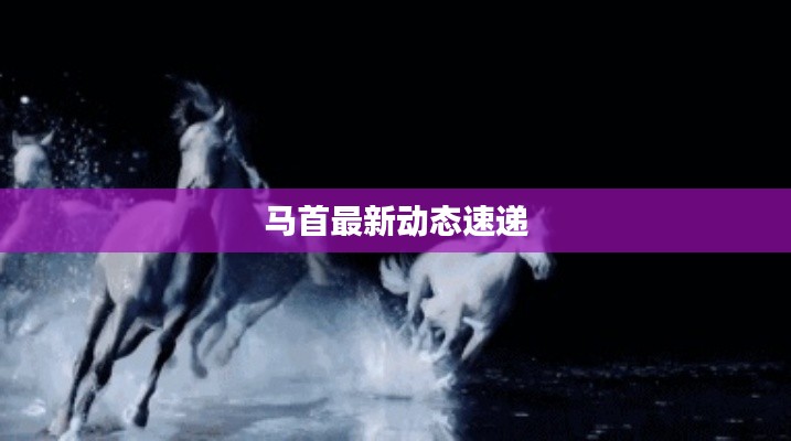 马首最新动态速递