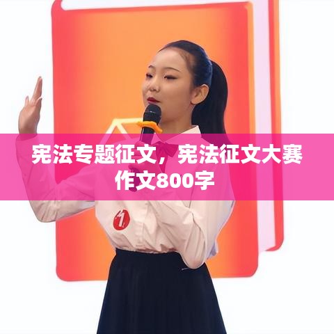 合作流程 第96页