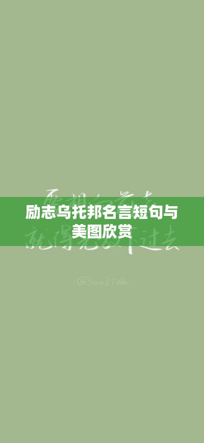 一石三鸟