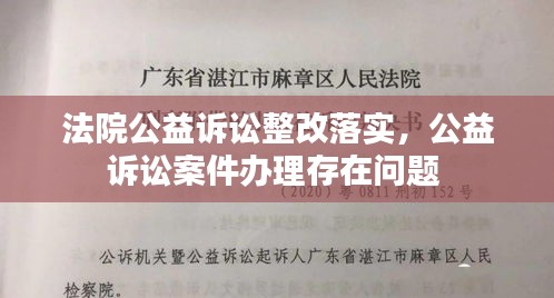 法院公益诉讼整改落实，公益诉讼案件办理存在问题 