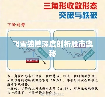 飞雪独樵深度剖析股市奥秘