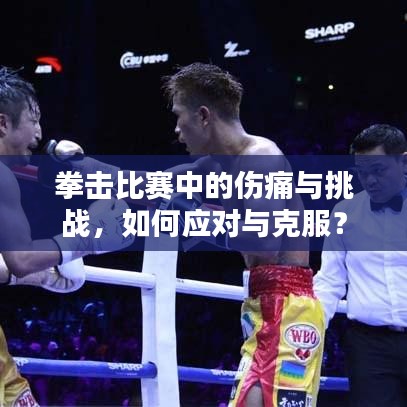 拳击比赛中的伤痛与挑战,如何应对与克服?