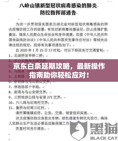 京东白条延期攻略,最新操作指南助你轻松应对!