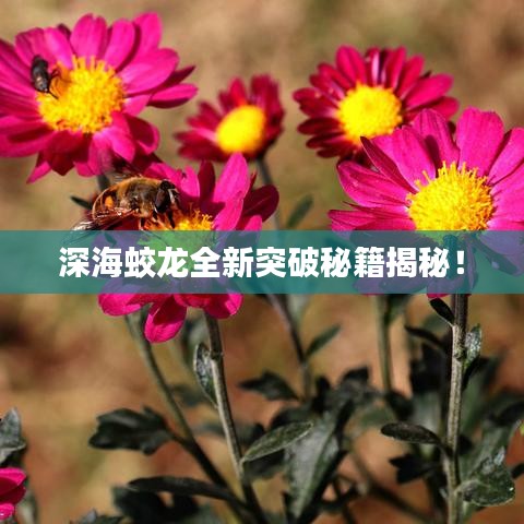 集思广益 第2页