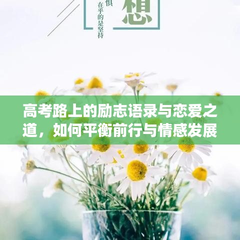 高考路上的励志语录与恋爱之道,如何平衡前行与情感发展