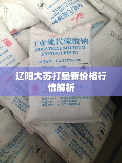 辽阳大苏打最新价格行情解析