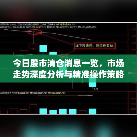 今日股市清仓消息一览,市场走势深度分析与精准操作策略