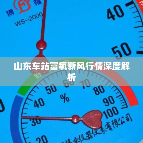 山东车站富氧新风行情深度解析