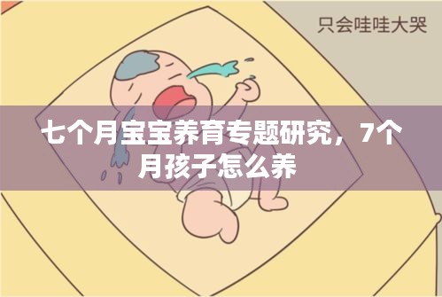 七个月宝宝养育专题研究,7个月孩子怎么养
