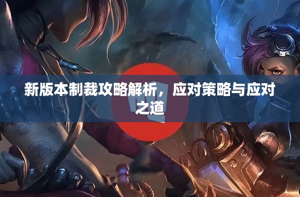 新版本制裁攻略解析，应对策略与应对之道