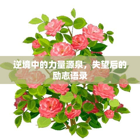 逆境中的力量源泉，失望后的励志语录