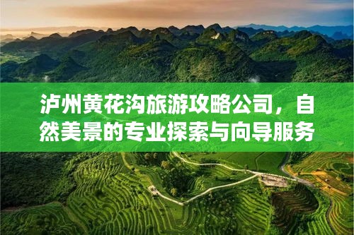 泸州黄花沟旅游攻略公司,自然美景的专业探索与向导服务