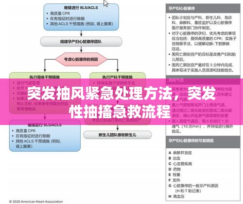 突发抽风紧急处理方法,突发性抽搐急救流程