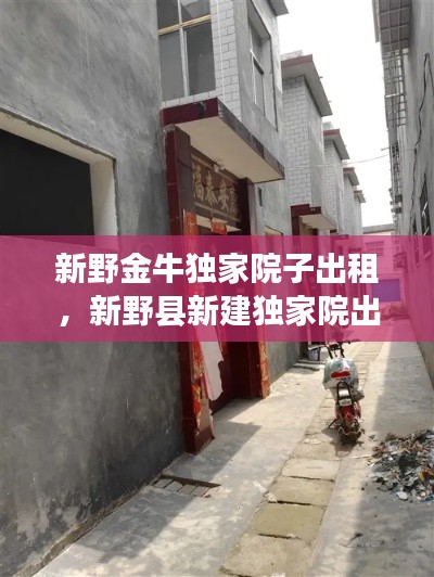 新野金牛独家院子出租，新野县新建独家院出售 