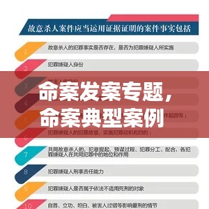 命案发案专题，命案典型案例 