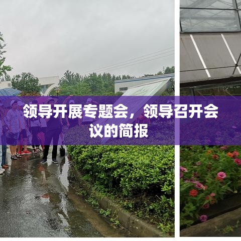 领导开展专题会，领导召开会议的简报 