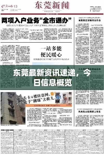 东莞最新资讯速递，今日信息概览