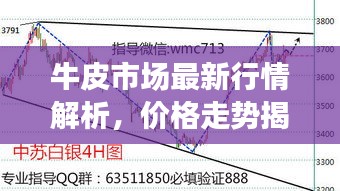 人杰地灵 第2页