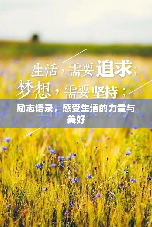励志语录,感受生活的力量与美好
