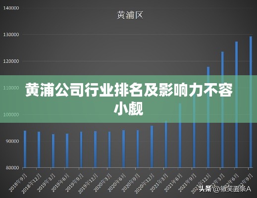 黄浦公司行业排名及影响力不容小觑