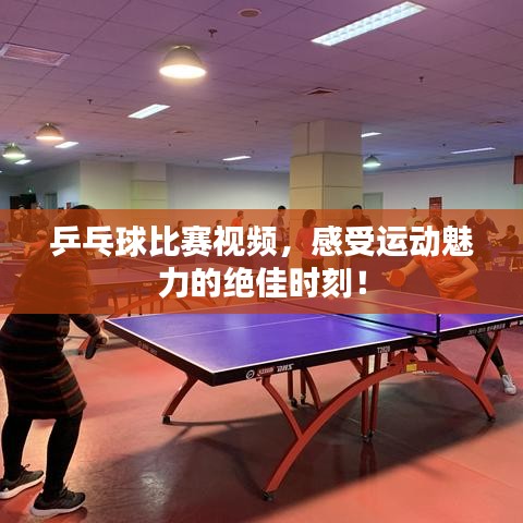 乒乓球比赛视频,感受运动魅力的绝佳时刻!
