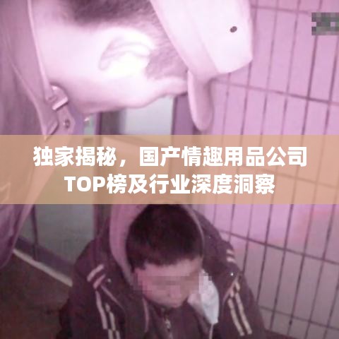 独家揭秘，国产情趣用品公司TOP榜及行业深度洞察