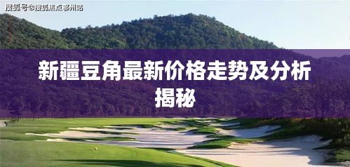 新疆豆角最新价格走势及分析揭秘